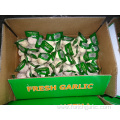 Small Bag Normal White Garlic